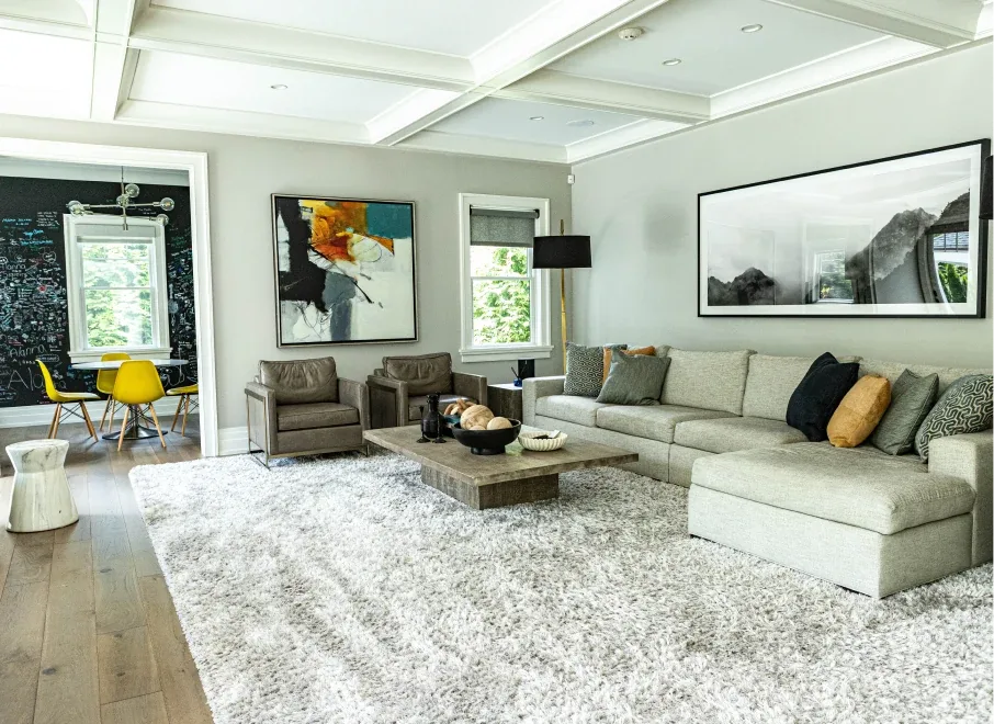 Sophisticated Comfort — interior design project by Fran Kroll, photo 6